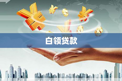 金水白领贷款