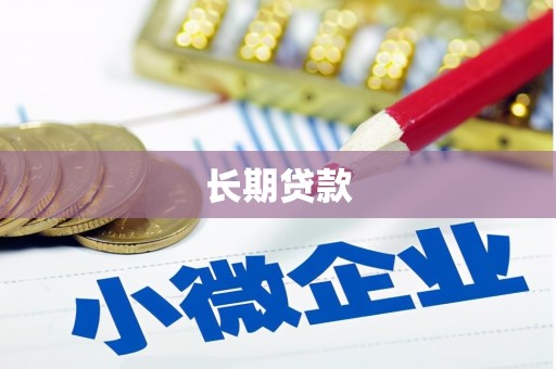 金水长期贷款