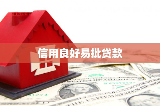金水信用良好易批贷款