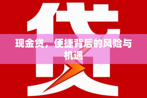 金水现金贷，便捷背后的风险与机遇