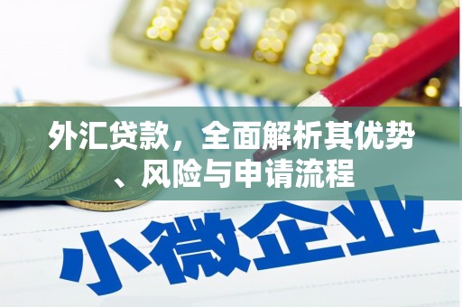 金水外汇贷款，全面解析其优势、风险与申请流程