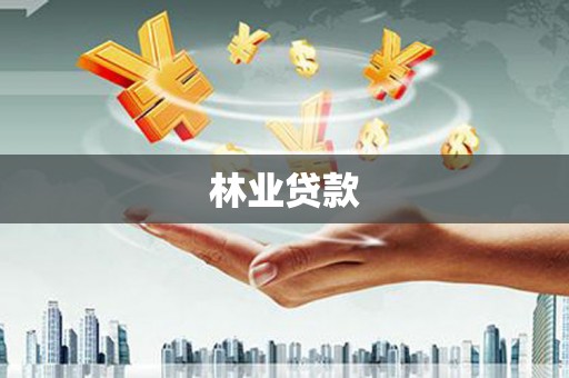 金水林业贷款