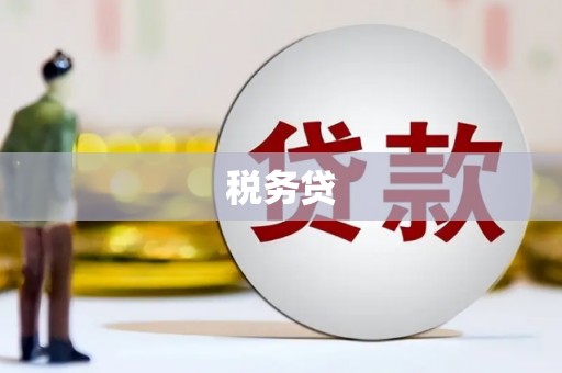 金水税务贷