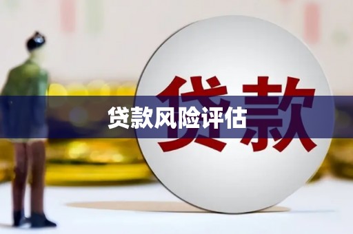 金水贷款风险评估