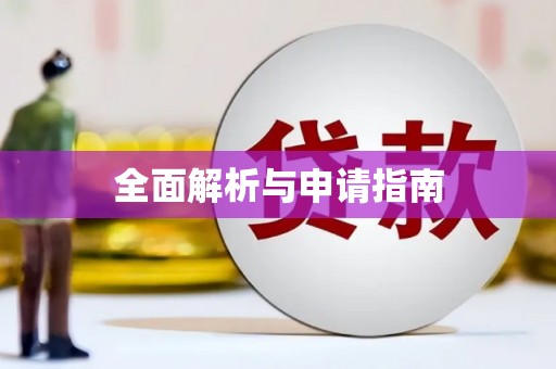 金水全面解析与申请指南