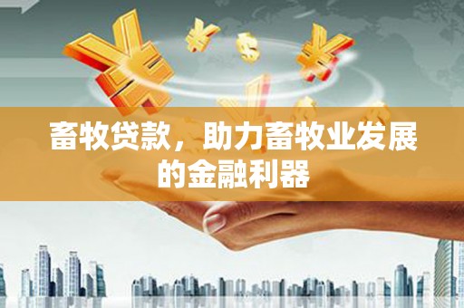 金水畜牧贷款，助力畜牧业发展的金融利器