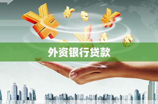 金水外资银行贷款