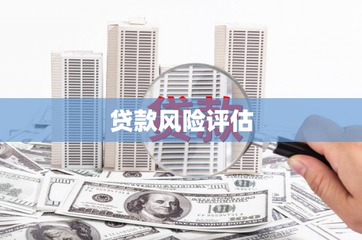 金水贷款风险评估