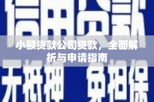 金水小额贷款公司贷款，全面解析与申请指南