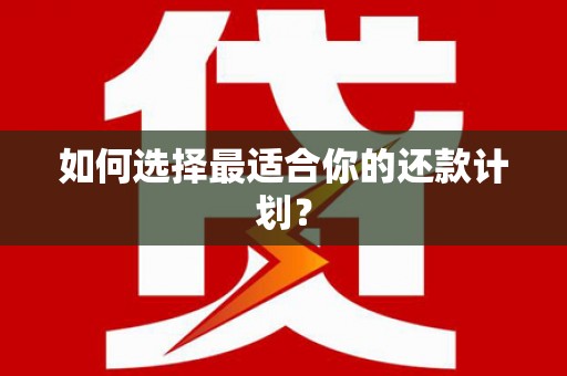 金水如何选择最适合你的还款计划？