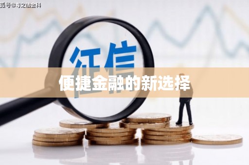 金水便捷金融的新选择