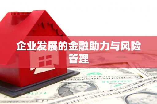 金水企业发展的金融助力与风险管理