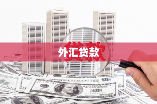 金水外汇贷款