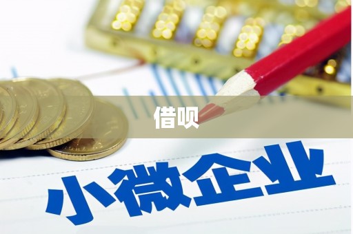 金水借呗
