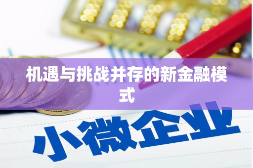 金水机遇与挑战并存的新金融模式