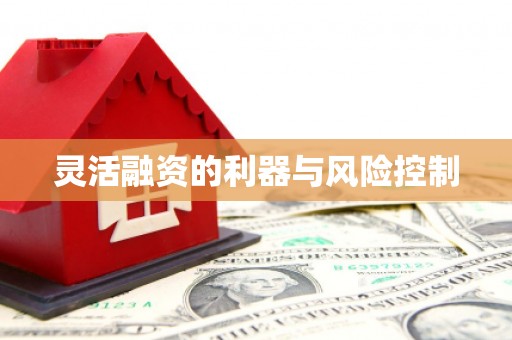 金水灵活融资的利器与风险控制