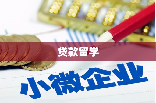 金水贷款留学