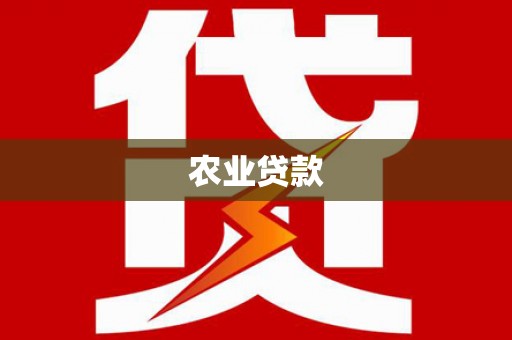 金水农业贷款