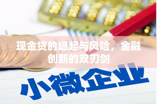 金水现金贷的崛起与风险，金融创新的双刃剑