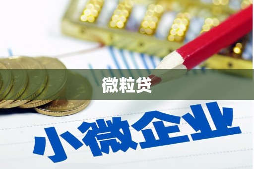金水微粒贷