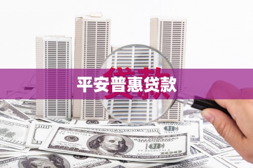 金水平安普惠贷款