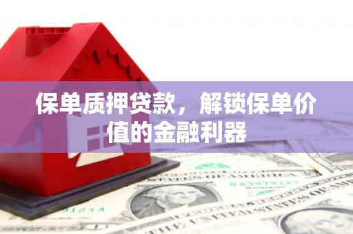 金水保单质押贷款，解锁保单价值的金融利器