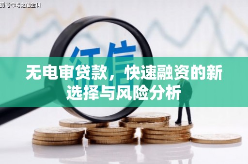 金水无电审贷款，快速融资的新选择与风险分析