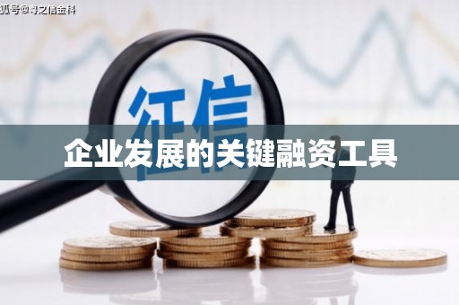 金水企业发展的关键融资工具