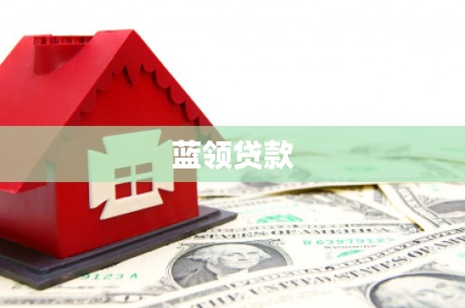 金水蓝领贷款