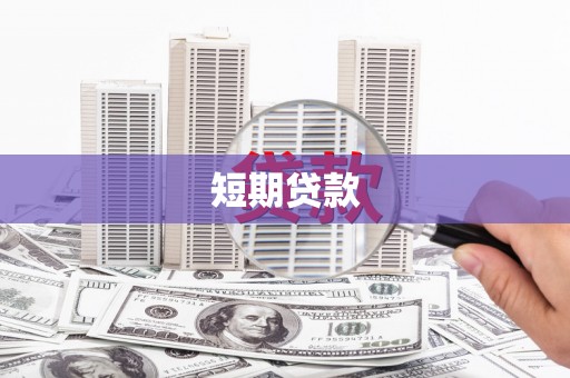 金水短期贷款