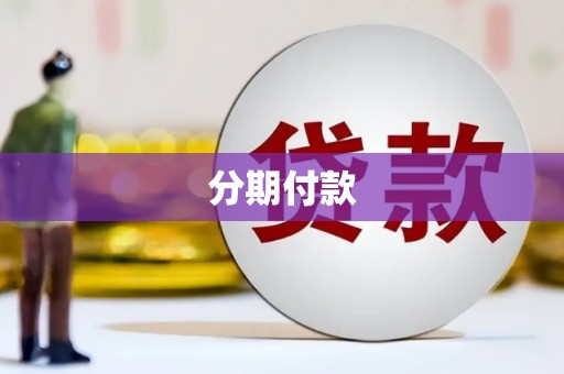 金水分期付款