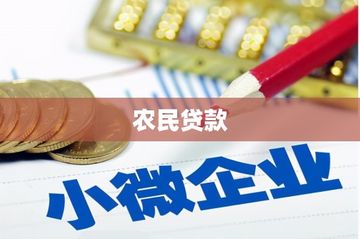 金水农民贷款