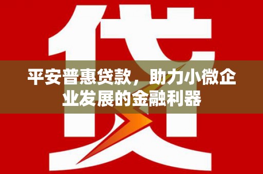 金水平安普惠贷款，助力小微企业发展的金融利器