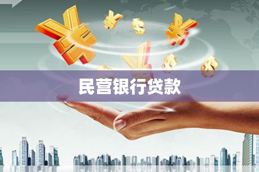 金水民营银行贷款