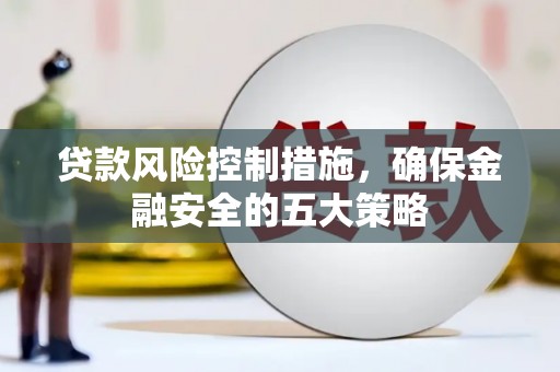 金水贷款风险控制措施，确保金融安全的五大策略
