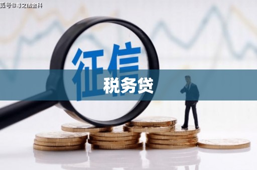 金水税务贷