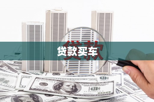 金水贷款买车