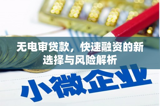金水无电审贷款，快速融资的新选择与风险解析