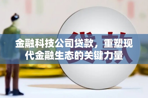 金水金融科技公司贷款，重塑现代金融生态的关键力量