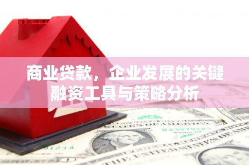 金水商业贷款，企业发展的关键融资工具与策略分析