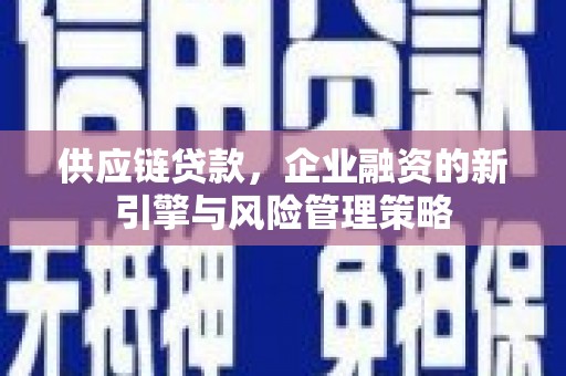 金水供应链贷款，企业融资的新引擎与风险管理策略