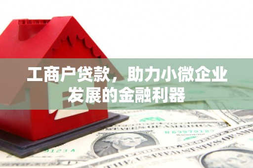 金水工商户贷款，助力小微企业发展的金融利器
