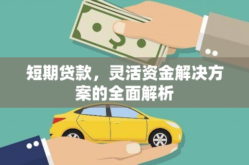 金水短期贷款，灵活资金解决方案的全面解析