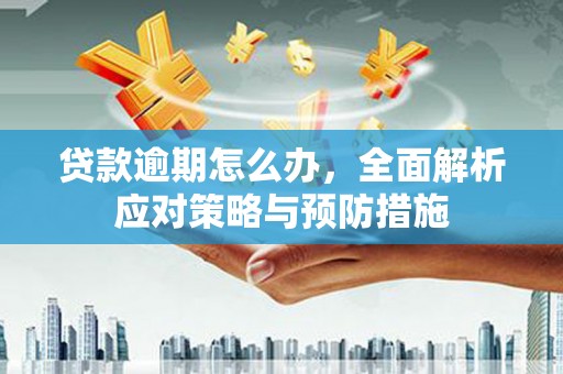 金水贷款逾期怎么办，全面解析应对策略与预防措施