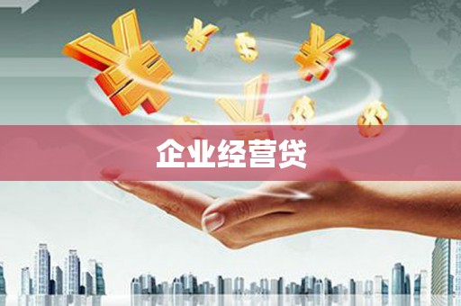 金水企业经营贷