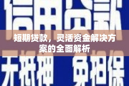 金水短期贷款，灵活资金解决方案的全面解析