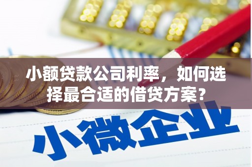 金水小额贷款公司利率，如何选择最合适的借贷方案？