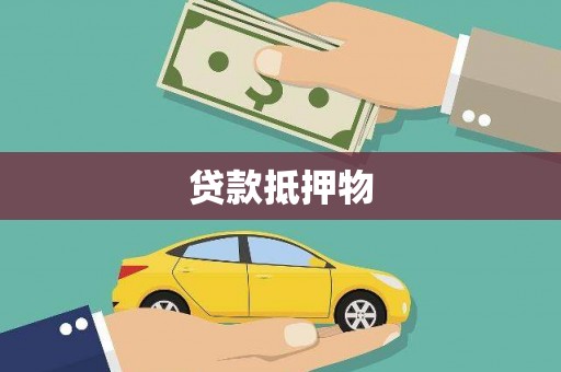 金水贷款抵押物