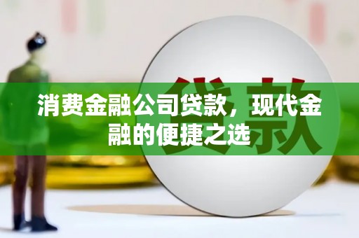 金水消费金融公司贷款，现代金融的便捷之选