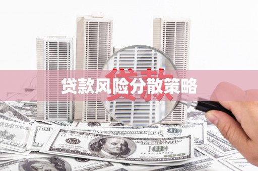 金水贷款风险分散策略